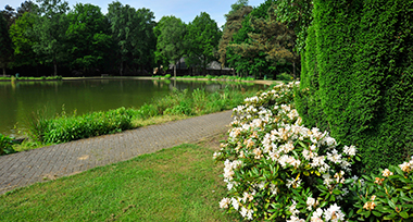 Groene omgeving van Doorwerth